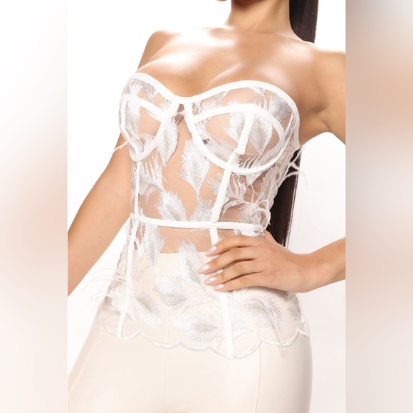 Embroidered Sheer Corset with Feather detail - Picture 2 of 6